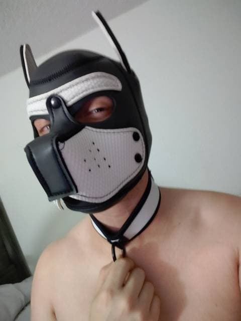 Pup Scorch OnlyFans – free nudes, naked, leaked