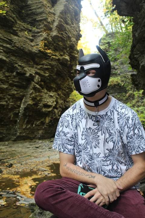 Pup phantom nox OnlyFans – free nudes, naked, leaked
